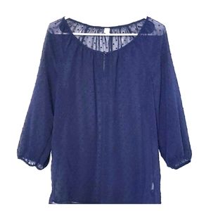 Sheer navy blue top
